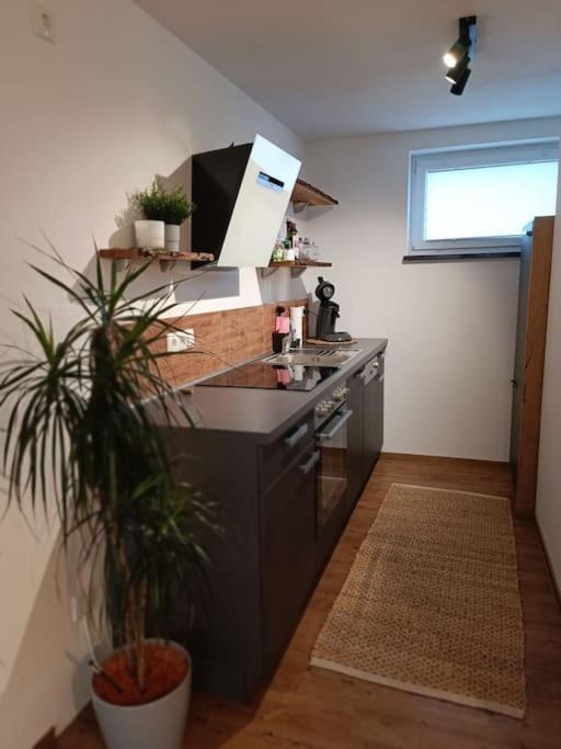 Altholzapartment In Kempten Waltenhofen Eksteriør bilde